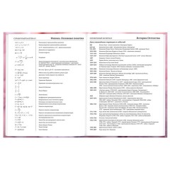 Дневник 5-11 класс 48 л., твердый, BRAUBERG, матовая ламинация, с подсказом, "Пушистые Сердечки", 107611 - фото 13