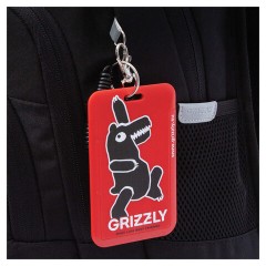 Рюкзак GRIZZLY школьный, анатомическая спинка, 2 отделения, для мальчиков, "YOUR ROUTE", 25х40х22 см, RB-550-1/2 - фото 7