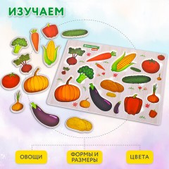 Рамка-вкладыш деревянная развивающая "Овощи", 22х30 см, BRAUBERG KIDS, 665255 - фото 11