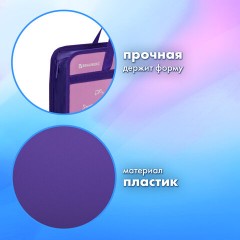 Папка на молнии с ручками BRAUBERG А4, 1 отделение, пластик, 80 мм, "Black Cat", 270122 Папка на молнии с ручками BRAUBERG А4, 1 отделение, пластик, 80 мм, "Black Cat", 270122 - фото 8