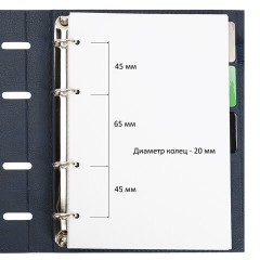 Тетрадь на кольцах А5, 180х220 мм, 120 л., под кожу, клапан, разделители, BRAUBERG SMART, синий, 405251 - фото 3
