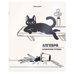Тетради предметные, КОМПЛЕКТ 12 ПРЕДМЕТОВ 48 л., пластиковая обложка, BRAUBERG "КОТ-НЕПОСЕДА", 405542 - фото 2