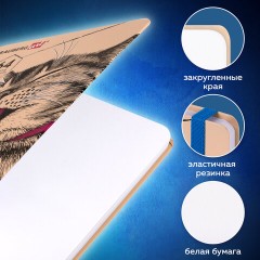 Скетчбук, белая бумага 160 г/м, 145х203 мм, 64 л., резинка, твердый, BRAUBERG ART CLASSIC "Это Кот", 114589 - фото 11