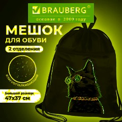 Мешок для обуви BRAUBERG, с петлёй, карман на молнии, 47х37 см, "Movie time", 270910 - фото 7