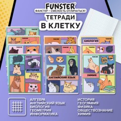 Тетради предметные, КОМПЛЕКТ 12 ПРЕДМЕТОВ, 48 л., TWIN-лак, FUNSTER (ФАНСТЕР), МЕМНЫЕ КОТЫ, 405604 - фото 19