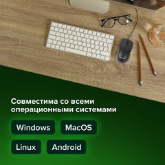 Мышь проводная SONNEN М-201, USB, 1000 dpi, 2 кнопки + колесо-кнопка, оптическая, черная, 512631 Мышь проводная SONNEN М-201, USB, 1000 dpi, 2 кнопки + колесо-кнопка, оптическая, черная, 512631 - фото 15