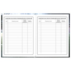 Дневник 1-4 класс 48 л., твердый, ЮНЛАНДИЯ, глянцевая ламинация, с подсказом, "Футбол", 107583 - фото 17