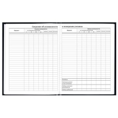 Дневник 1-11 класс 40 л., твердый, BRAUBERG, глянцевая ламинация, "Герб", 107598 - фото 9