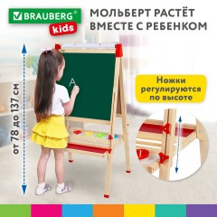 Мольберт растущий 3 в 1 для мела/магнитно-маркерный 50х50 см, бумага для рисования, BRAUBERG KIDS, 238150 - фото 23
