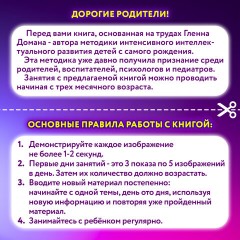 Карточки Домана, 8 развивающих брошюр по методике ГЛЕНА ДОМАНА, 145 изображений, ЮНЛАНДИЯ, 691022 Карточки Домана, 8 развивающих брошюр по методике ГЛЕНА ДОМАНА, 145 изображений, ЮНЛАНДИЯ, 691022 - фото 12