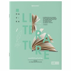 Тетради предметные со справочным материалом, КОМПЛЕКТ 12 ПРЕДМЕТОВ, 48 л., обложка картон, BRAUBERG, "VISION", 404323 - фото 10