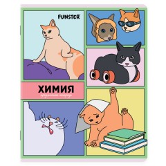 Тетради предметные, КОМПЛЕКТ 12 ПРЕДМЕТОВ, 48 л., TWIN-лак, FUNSTER (ФАНСТЕР), МЕМНЫЕ КОТЫ, 405604 - фото 12