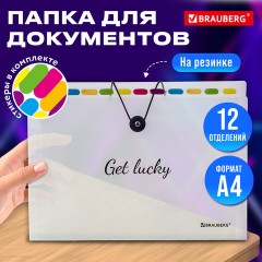 Папка-органайзер на резинке 12 отделений, BRAUBERG "Glassy", А4, прозрачная, 271929 Папка-органайзер на резинке 12 отделений, BRAUBERG "Glassy", А4, прозрачная, 271929 - фото 9