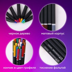 Карандаши цветные художественные BRAUBERG ART PREMIERE, 24 цвета, МЯГКИЙ грифель 4 мм, металл, 181541 Карандаши цветные художественные BRAUBERG ART PREMIERE, 24 цвета, МЯГКИЙ грифель 4 мм, металл, 181541 - фото 9