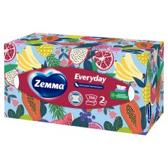 Салфетки косметические 2-слойные в картонном коробе, 250 штук, ZEMMA/ZEWA Everyday, 86791