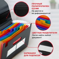 Папка-органайзер для бумаг и документов на резинке, 13 отделений, BRAUBERG DOCS, А4, черная, 271152 Папка-органайзер для бумаг и документов на резинке, 13 отделений, BRAUBERG DOCS, А4, черная, 271152 - фото 11