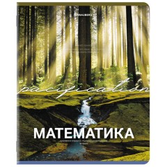 Тетради предметные, КОМПЛЕКТ 13 ПРЕДМЕТОВ, 48 л., обложка картон, BRAUBERG "КЛАССИКА ПРИРОДА", 405165 Тетради предметные, КОМПЛЕКТ 13 ПРЕДМЕТОВ, 48 л., обложка картон, BRAUBERG "КЛАССИКА ПРИРОДА", 405165 - фото 9