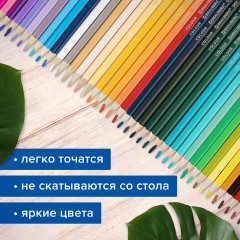 Карандаши цветные супермягкие яркие BRAUBERG MAX, 50 цветов, трехгранные, грифель 3,3 мм, натуральное дерево, 181860 Карандаши цветные супермягкие яркие BRAUBERG MAX, 50 цветов, трехгранные, грифель 3,3 мм, натуральное дерево, 181860 - фото 10