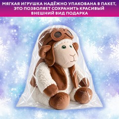 Подарок новогодний "ЛЁТЧИК", "Мягкая игрушка-символ 2027 года", НАБОР конфет 800 г, WELDAY (ВЭЛДЭЙ), 881404 - фото 8