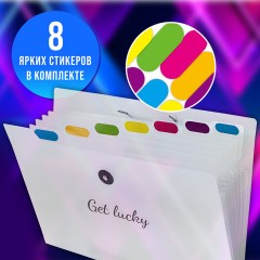 Папка-органайзер на резинке 8 отделений, BRAUBERG "Glassy", А4, прозрачная, 271928 Папка-органайзер на резинке 8 отделений, BRAUBERG "Glassy", А4, прозрачная, 271928 - фото 12