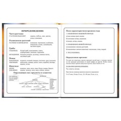 Дневник 1-4 класс 48 л., твердый, ЮНЛАНДИЯ, глянцевая ламинация, с подсказом, "Котёнок", 107581 - фото 16