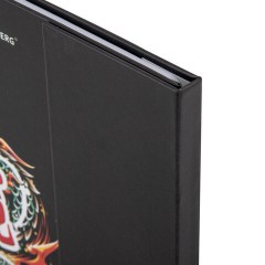 Дневник 1-11 класс 48 л., твердый, BRAUBERG, матовая ламинация, магнитный клапан, закладка-ляссе, с подсказом, "Дракон", 107245 - фото 4