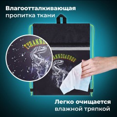 Мешок для обуви BRAUBERG, с петлей, светоотражающая полоса, 2 отделения, 46х36 см, Tyrannosaur, 272399 Мешок для обуви BRAUBERG, с петлей, светоотражающая полоса, 2 отделения, 46х36 см, Tyrannosaur, 272399 - фото 9