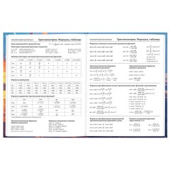 Дневник 5-11 класс 48 л., твердый, BRAUBERG, глянцевая ламинация, с подсказом, "Футбол", 107613 - фото 11