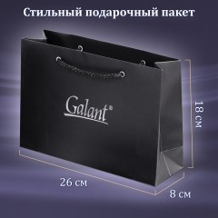 Ручка шариковая GALANT "Marburg", корпус серебристый, ежедневник недатированный А5 черный, пакет, 880905 Ручка шариковая GALANT "Marburg", корпус серебристый, ежедневник недатированный А5 черный, пакет, 880905 - фото 8