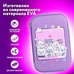 Пенал ЮНЛАНДИЯ большой, 1 отделение, 1 откидная планка, карман, полиэстер/EVA, 22х15х5 см, "Cats selfie", 273193 Пенал ЮНЛАНДИЯ большой, 1 отделение, 1 откидная планка, карман, полиэстер/EVA, 22х15х5 см, "Cats selfie", 273193 - фото 10