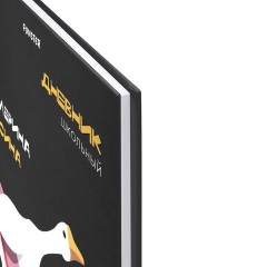 Дневник 5-11 класс 48 л., твердый, FUNSTER (ФАНСТЕР), выборочный лак, с подсказом, "Гусыня-балерина", 107615 - фото 4