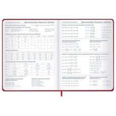 Дневник 1-11 класс 48 л., твердый, BRAUBERG, матовая ламинация, резинка, закладка-ляссе, с подсказом, "Мото", 107236 - фото 16