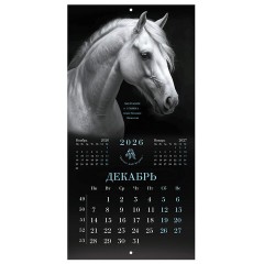 Календарь настенный перекидной 2026 г., BRAUBERG, 12 листов, 28,5х28,5 см, "Символ года", 116928 - фото 15