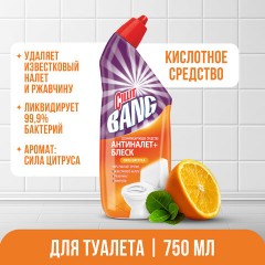 Средство для уборки туалета дезинфицирующее 750 мл CILLIT BANG "Антиналет+Блеск", Сила Цитруса, 07820, 8149770 Средство для уборки туалета дезинфицирующее 750 мл CILLIT BANG "Антиналет+Блеск", Сила Цитруса, 07820, 8149770 - фото 7
