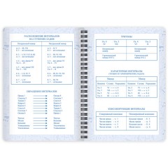 Дневник для музыкальной школы 48 листов, гребень, пластиковая обложка, картон, BRAUBERG, "МИКС", 107519 - фото 14