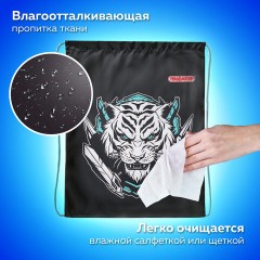 Мешок для обуви ПИФАГОР, 1 отделение, 42х34 см, "White tiger", 272389 Мешок для обуви ПИФАГОР, 1 отделение, 42х34 см, "White tiger", 272389 - фото 8