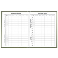 Дневник 1-11 класс 40 л., твердый, BRAUBERG, глянцевая ламинация, "Однотонный", 107607 - фото 7