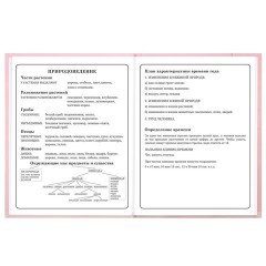 Дневник 1-4 класс 48 л., твердый, BRAUBERG, выборочный лак, с подсказом, "Миленький котёнок", 107594 - фото 16