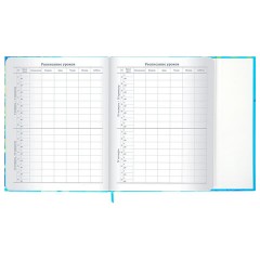 Дневник 1-11 класс 48 л., твердый, BRAUBERG, матовая ламинация, магнитный клапан, закладка-ляссе, с подсказом, "Котик", 107244 - фото 11