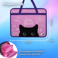 Папка на молнии с ручками BRAUBERG А4, 1 отделение, пластик, 80 мм, "Black Cat", 270122 - фото 10