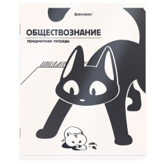 Тетради предметные, КОМПЛЕКТ 12 ПРЕДМЕТОВ 48 л., пластиковая обложка, BRAUBERG "КОТ-НЕПОСЕДА", 405542 - фото 3