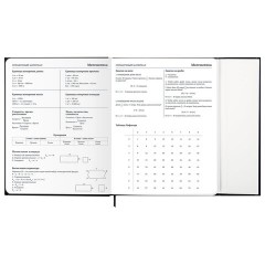 Дневник 1-11 класс 48 л., твердый, BRAUBERG, матовая ламинация, магнитный клапан, закладка-ляссе, с подсказом, "Дракон", 107245 - фото 15