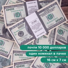 Деньги шуточные "100 долларов", упаковка с европодвесом, AD0000024 Деньги шуточные "100 долларов", упаковка с европодвесом, AD0000024 - фото 4