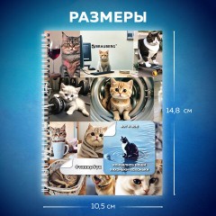 Стикербук ПРОСТО НАКЛЕЙ А6, 16 листов, 96 цветных стикеров, на гребне, BRAUBERG, "Коты мемы", 666050 - фото 3