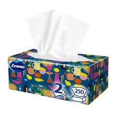 Салфетки косметические 2-слойные в картонном коробе, 250 штук, ZEMMA/ZEWA Everyday, 86791 - фото 22