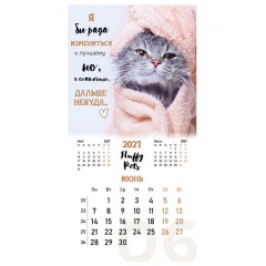 Календарь настенный перекидной 2027 г., BRAUBERG, 12 листов, 28,5х57 см, "Смешные котики", 118430 - фото 11