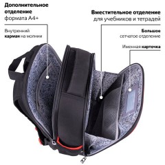 Ранец BRAUBERG FIT, 2 отделения, "Colorful lion", 38х27х14 см, 270618 Ранец BRAUBERG FIT, 2 отделения, "Colorful lion", 38х27х14 см, 270618 - фото 19