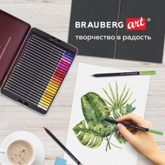 Карандаши цветные художественные BRAUBERG ART PREMIERE, НАБОР 48 цветов, 4 мм, металл кейс, 181694 Карандаши цветные художественные BRAUBERG ART PREMIERE, НАБОР 48 цветов, 4 мм, металл кейс, 181694 - фото 16
