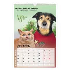 Календарь на гребне с ригелем 2027 г., 30x45 см, BRAUBERG, "Не падай духом", 118385 - фото 14