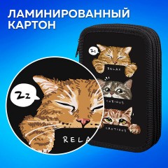 Пенал ПИФАГОР, 3 отделения, ламинированный картон, 19х11 см, "Cool trio", 273486 Пенал ПИФАГОР, 3 отделения, ламинированный картон, 19х11 см, "Cool trio", 273486 - фото 10